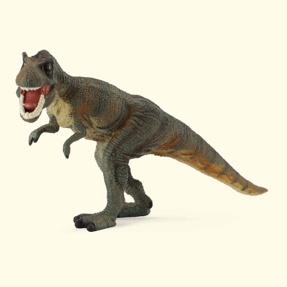 Tyrannosaurus Rex Green || CollectA - CollectA - Sticks & Stones Education