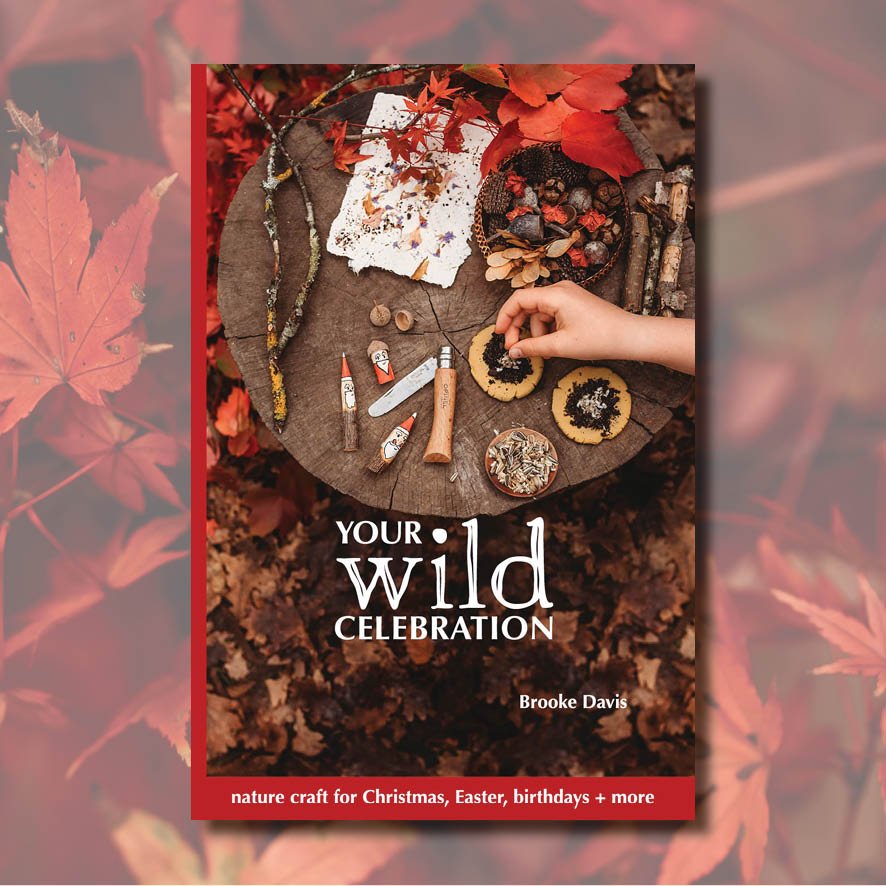 Your Wild Celebration Book - Your Wild Books - Sticks & Stones Education