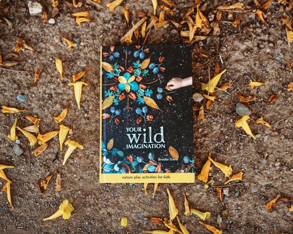 Your Wild Imagination Book - Your Wild Books - Sticks & Stones Education