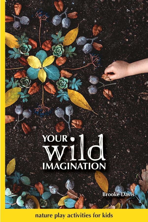 Your Wild Imagination Book - Your Wild Books - Sticks & Stones Education